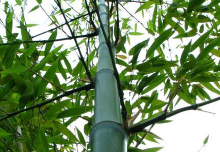 1638692571370364.jpg 1638692571370364.jpg