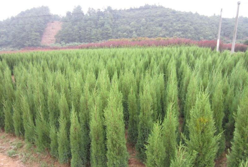 1638926327968505.jpg 1638926327968505.jpg