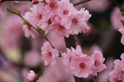 1638954243223488.jpg 1638954243223488.jpg