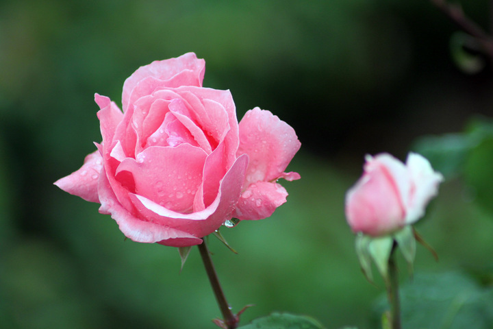 1639047096373563.jpg 1639047096373563.jpg