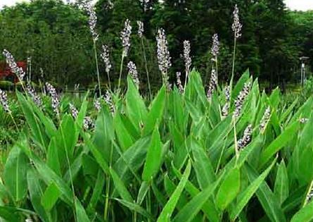 1639219100127088.jpg 1639219100127088.jpg