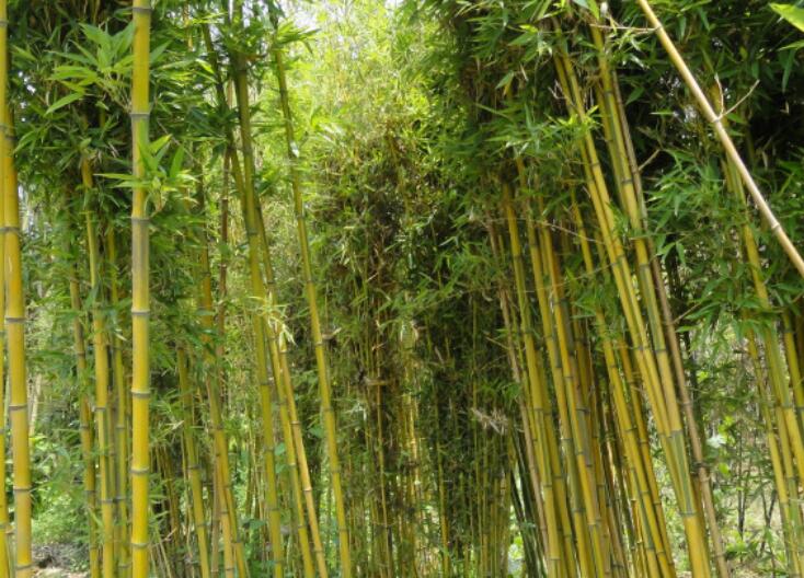 1639293988412147.jpg 1639293988412147.jpg