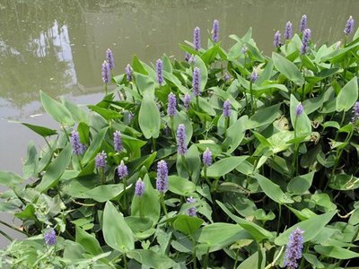 1639300915139655.jpg 1639300915139655.jpg