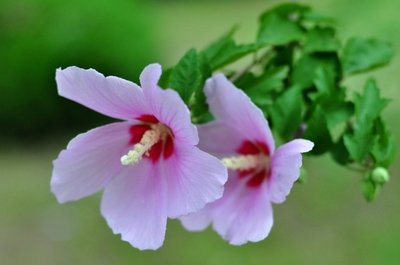 1639389526646210.jpg 1639389526646210.jpg