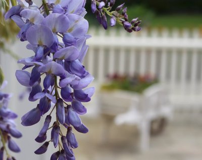 1639390074861623.jpg 1639390074861623.jpg