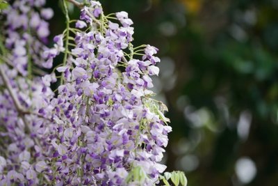 1639390096735276.jpg 1639390096735276.jpg