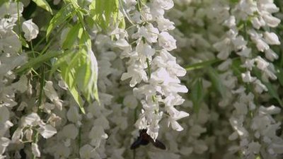 1639390241721359.jpg 1639390241721359.jpg