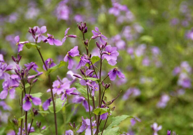 1639409387502453.jpg 1639409387502453.jpg