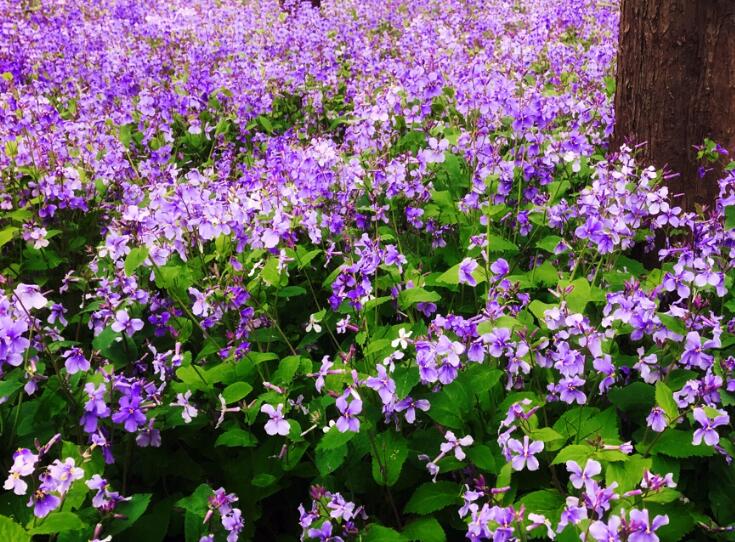 1639409401875812.jpg 1639409401875812.jpg