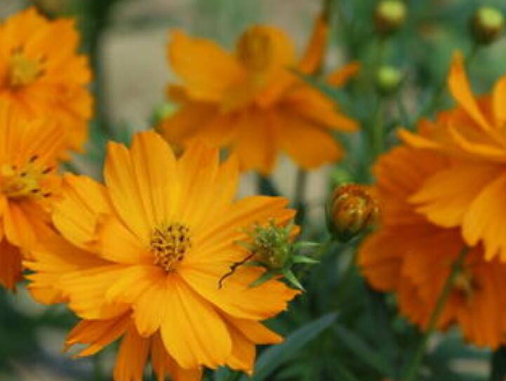 1639458710926108.jpg 1639458710926108.jpg