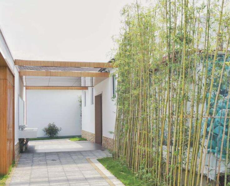 1639464651996423.jpg 1639464651996423.jpg