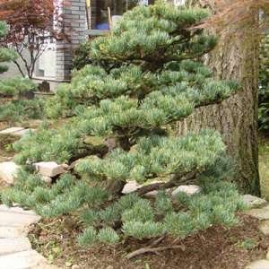 1639909030712231.jpg 1639909030712231.jpg