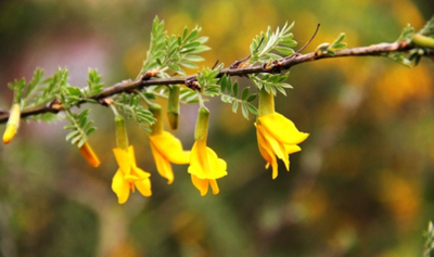 1639910454983856.png 1639910454983856.png