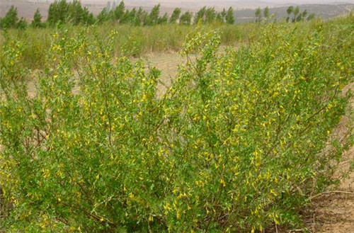 1639910474429016.jpg 1639910474429016.jpg