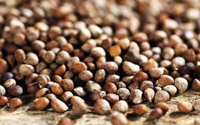 1639912250192566.jpg 1639912250192566.jpg