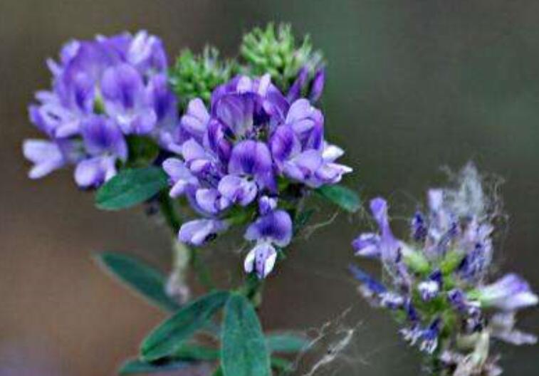 1639979682568919.jpg 1639979682568919.jpg