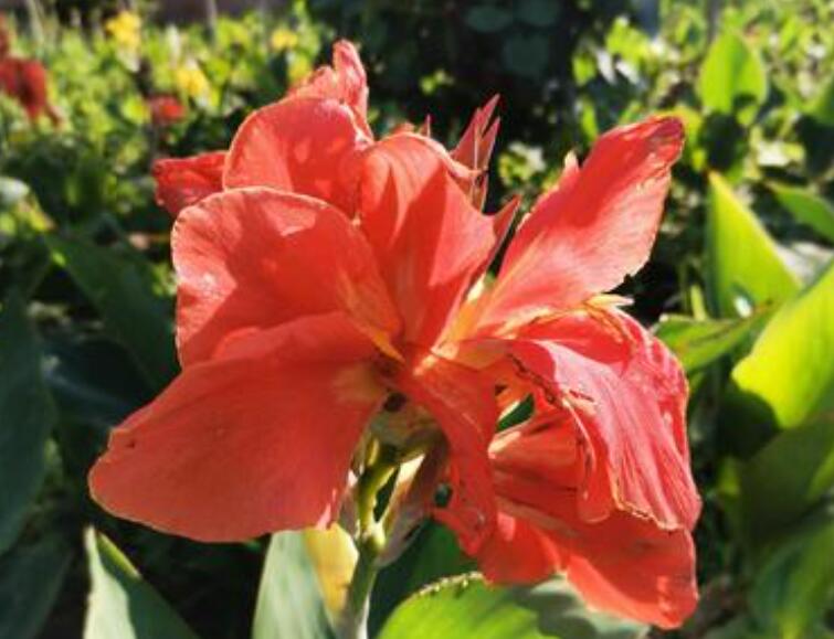 1640009449527045.jpg 1640009449527045.jpg