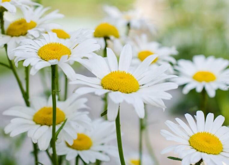 1640234406845075.jpg 1640234406845075.jpg