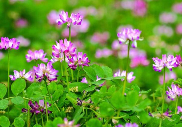 1640245819406458.jpg 1640245819406458.jpg