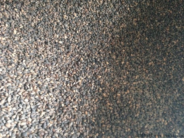 1640256244271162.jpg a571bc566f4aeabd9f0d48b5df7c568c_1-1F4221S2432U.jpg