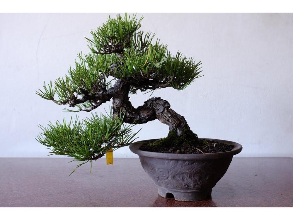 1640256281535063.jpg 1640256281535063.jpg