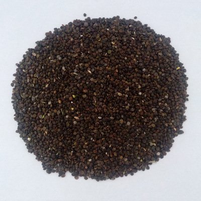 1640261250409745.jpg 1640261250409745.jpg