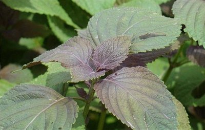 1640261267496246.jpg 1640261267496246.jpg