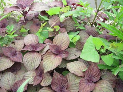 1640261286332567.jpg 1640261286332567.jpg