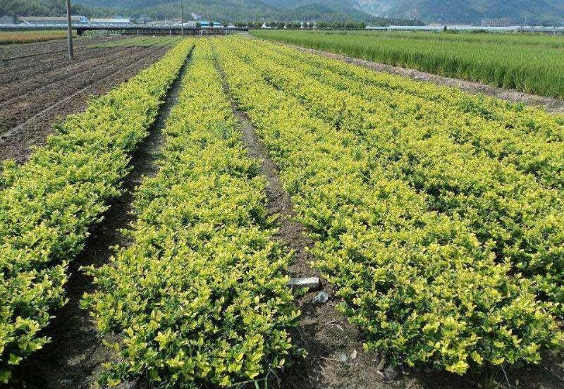 1640322335302724.jpg 1640322335302724.jpg