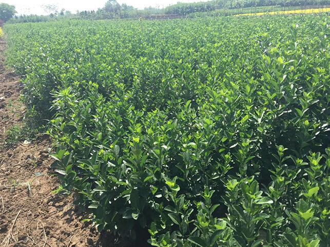 1640325734437721.jpg 1640325734437721.jpg