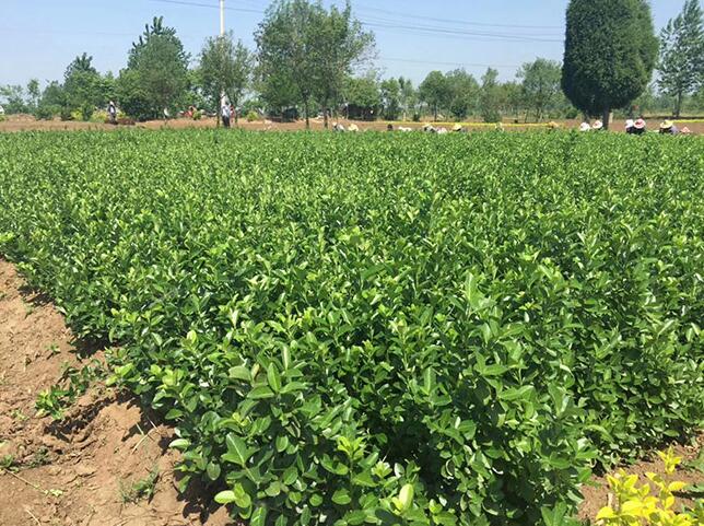 1640325734772484.jpg 1640325734772484.jpg