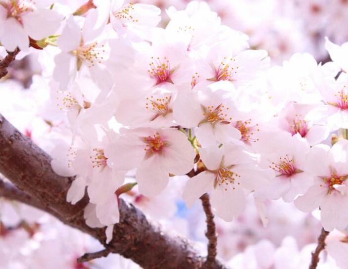 1640411974242010.jpg 1640411974242010.jpg