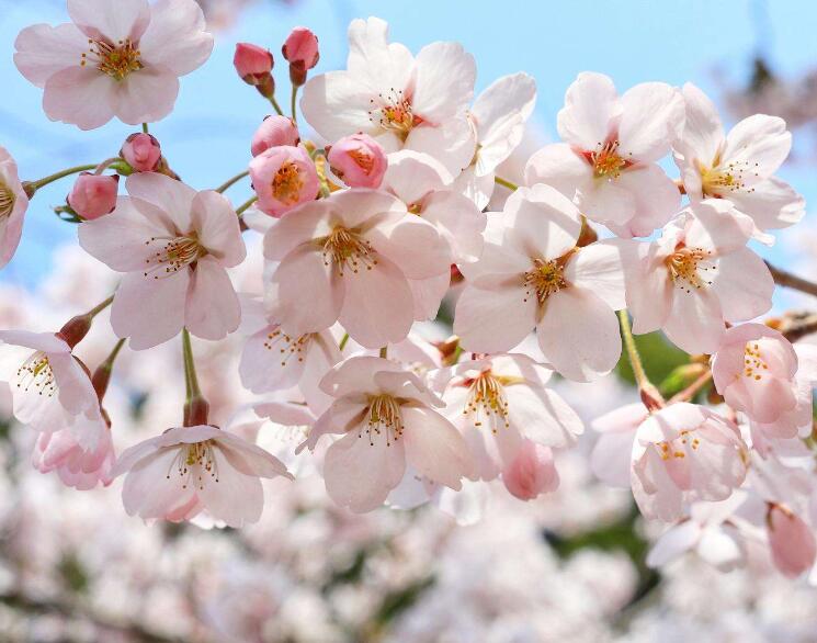 1640411982816062.jpg 1640411982816062.jpg