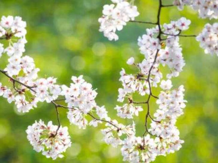 1640411991928179.jpg 1640411991928179.jpg