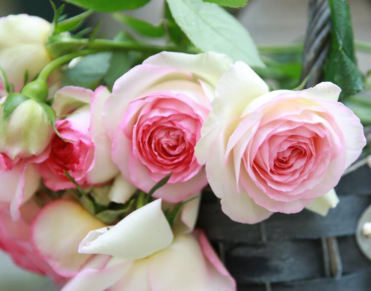 1640681332559044.jpg 1640681332559044.jpg