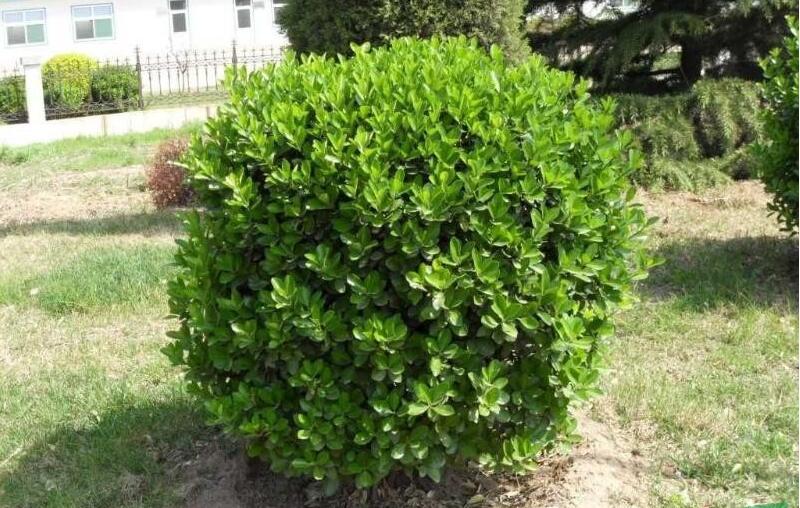 1640763516935651.jpg 1640763516935651.jpg