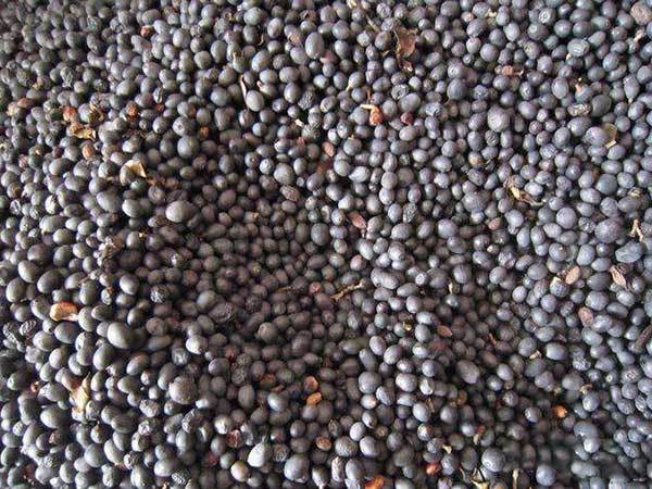 1640950203709053.jpg 水臘.jpg