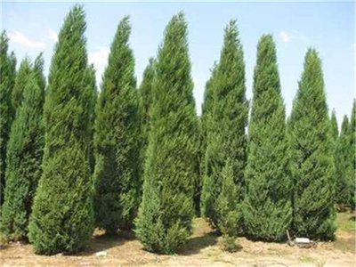 1641206398311429.jpg 1641206398311429.jpg