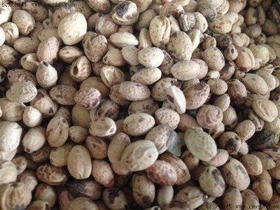 1641213155751474.jpg 1641213155751474.jpg