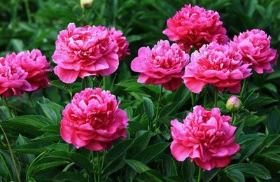 1642244155821136.jpg 1642244155821136.jpg