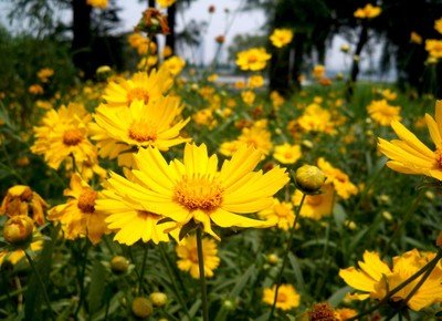 1642761043362865.jpg 1642761043362865.jpg