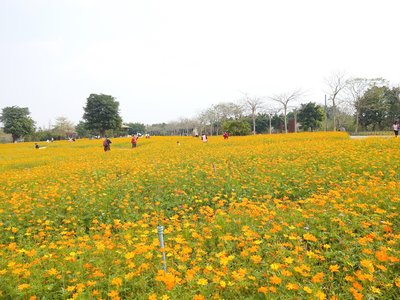 1642761062672228.jpg 1642761062672228.jpg