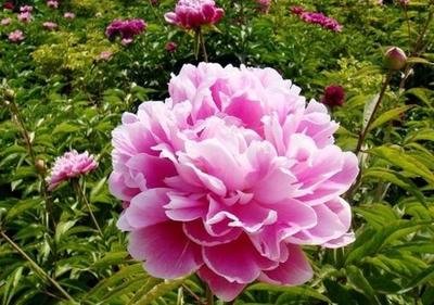 1642934058536899.jpg 1642934058536899.jpg