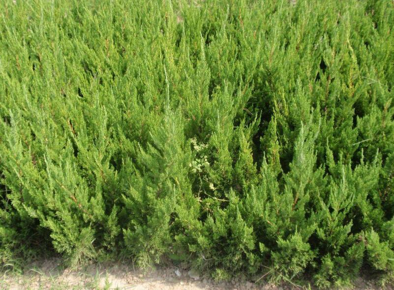 1643081458432672.jpg 1643081458432672.jpg