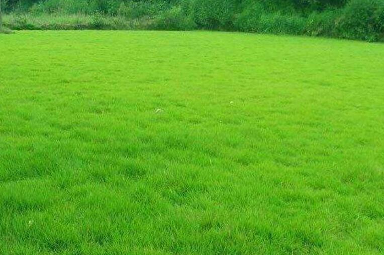 1643452959708088.jpg 1.jpg