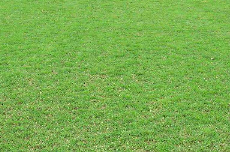 1643452967917856.jpg 2.jpg