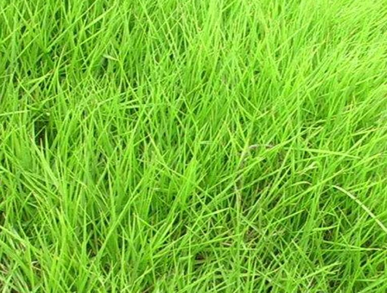 1643452973921404.jpg 3.jpg