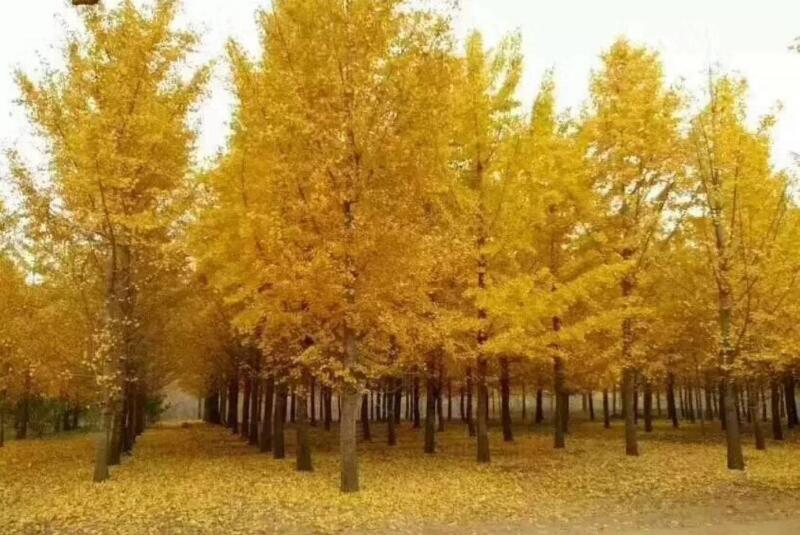 1643977359720205.jpg 1643977359720205.jpg