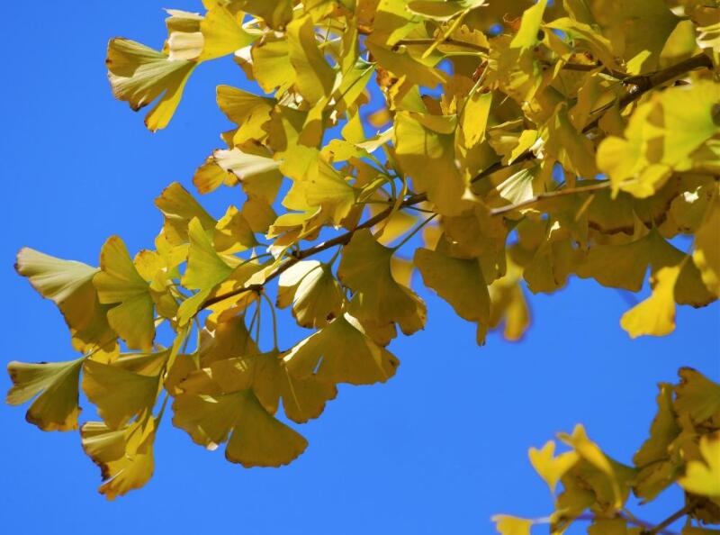 1643977359755867.jpg 1643977359755867.jpg