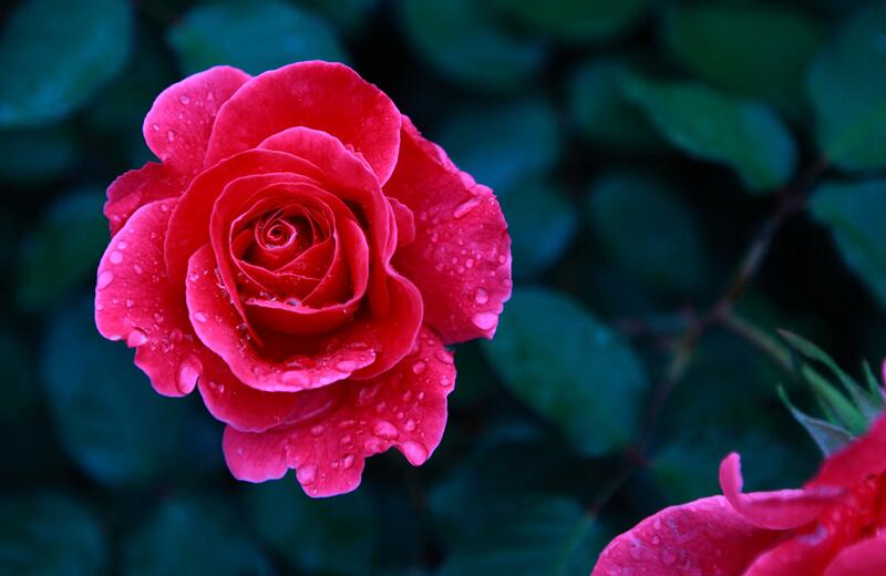 1644061116467604.jpg 1644061116467604.jpg